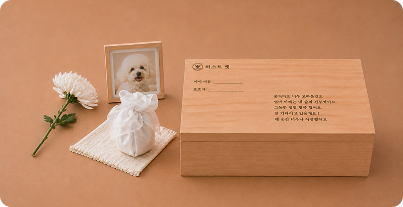 베이직 장례 사진