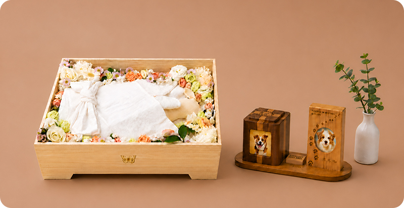 퍼스트 장례 사진