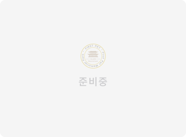 스톤실