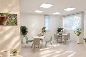 장례용품 사진39