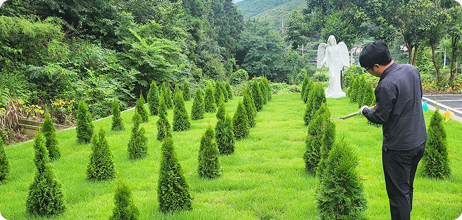 수목장 사진